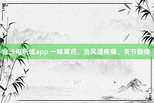 金沙電玩城app 一味草藥，治風濕疼痛、關節(jié)酸痛  
