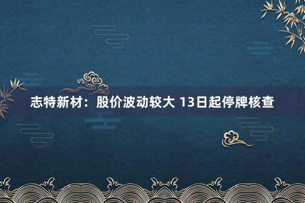 志特新材:股價波動較大 13日起停牌核查