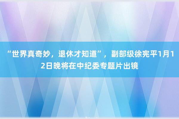 “世界真奇妙，退休才知道”，副部級徐憲平1月12日晚將在中紀(jì)委專題片出鏡