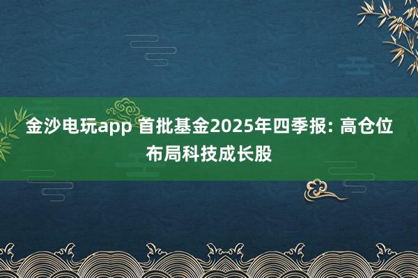 金沙電玩app 首批基金2025年四季報: 高倉位布局科技成長股