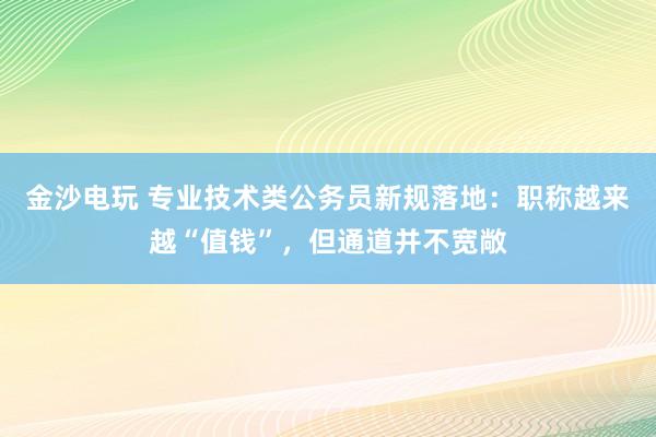 金沙電玩 專業技術類公務員新規落地：職稱越來越“值錢”，但通道并不寬敞
