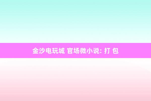 金沙電玩城 官場(chǎng)微小說(shuō): 打 包