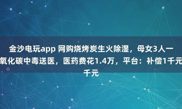 金沙電玩app 網購燒烤炭生火除濕，母女3人一氧化碳中毒送醫，醫藥費花1.4萬，平臺：補償1千元