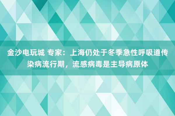 金沙電玩城 專家:上海仍處于冬季急性呼吸道傳染病流行期,流感病毒是主導(dǎo)病原體