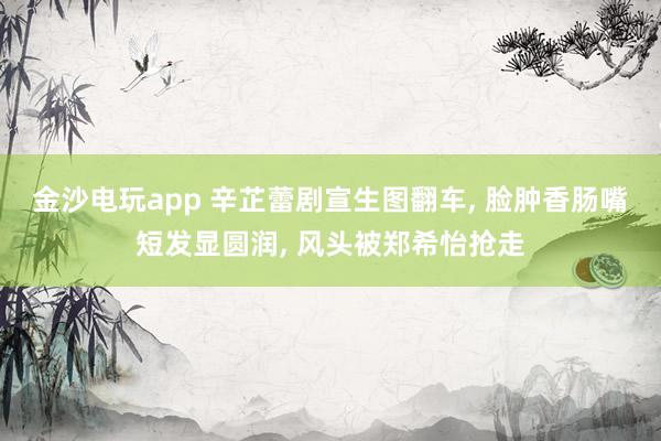 金沙電玩app 辛芷蕾劇宣生圖翻車， 臉腫香腸嘴短發顯圓潤， 風頭被鄭希怡搶走