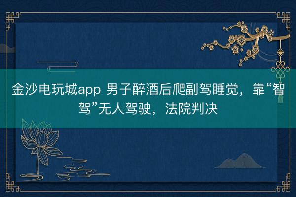 金沙電玩城app 男子醉酒后爬副駕睡覺，靠“智駕”無人駕駛，法院判決