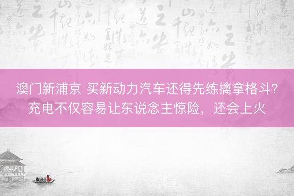 澳門新浦京 買新動(dòng)力汽車還得先練擒拿格斗？充電不僅容易讓東說(shuō)念主驚險(xiǎn)，還會(huì)上火