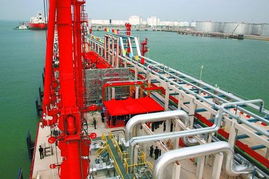 將來就業(yè)有優(yōu)勢的14大行業(yè)及所需專業(yè)解析