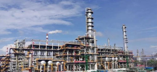 從黑白到彩色,是她近半個世紀的足跡