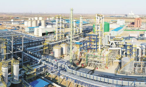 去年全市5個(gè)化工園區(qū)營收增幅33 ,今年續(xù)建新建項(xiàng)目20余個(gè) 延鏈聚合 化工產(chǎn)業(yè)提質(zhì)增效